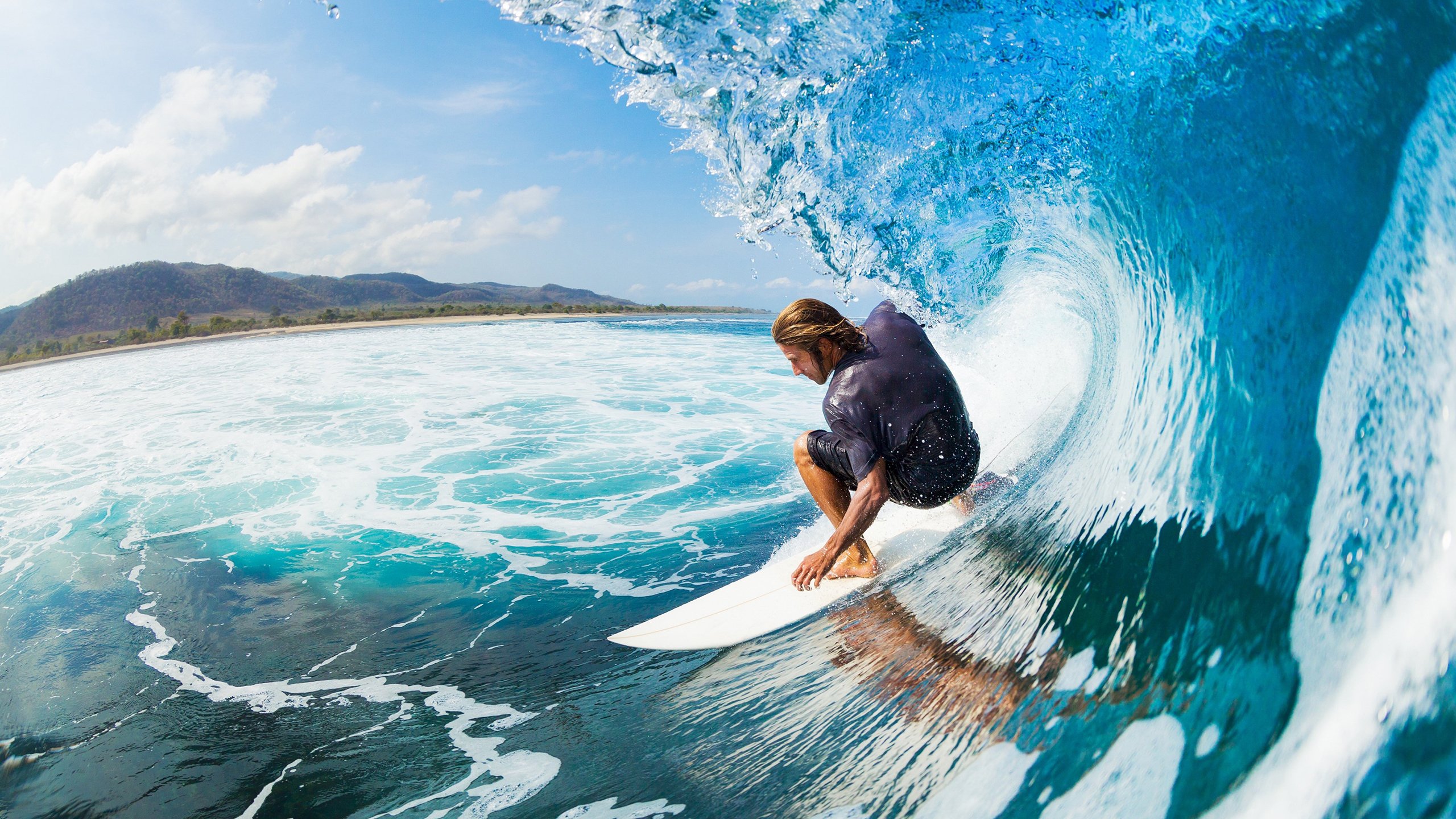 中国跳水队包揽世锦赛全部金牌 创历史最佳战绩